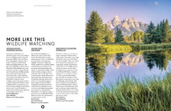 Epic Drives of the World - Image 2