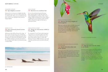 The Family Bucket List - Image 5