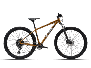 POLYGON biciklo CASCADE 5 INT BROWN 1x10 29"