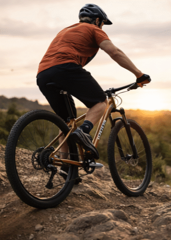 POLYGON biciklo CASCADE 5 INT BROWN 1x10 29" - Image 3