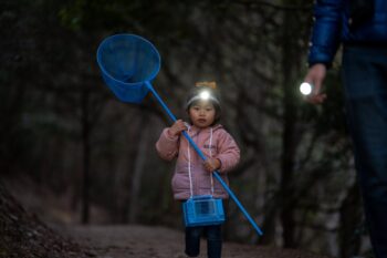 Ledlenser Dječija čeona lampa Kidled2 ljubičasta - Image 4
